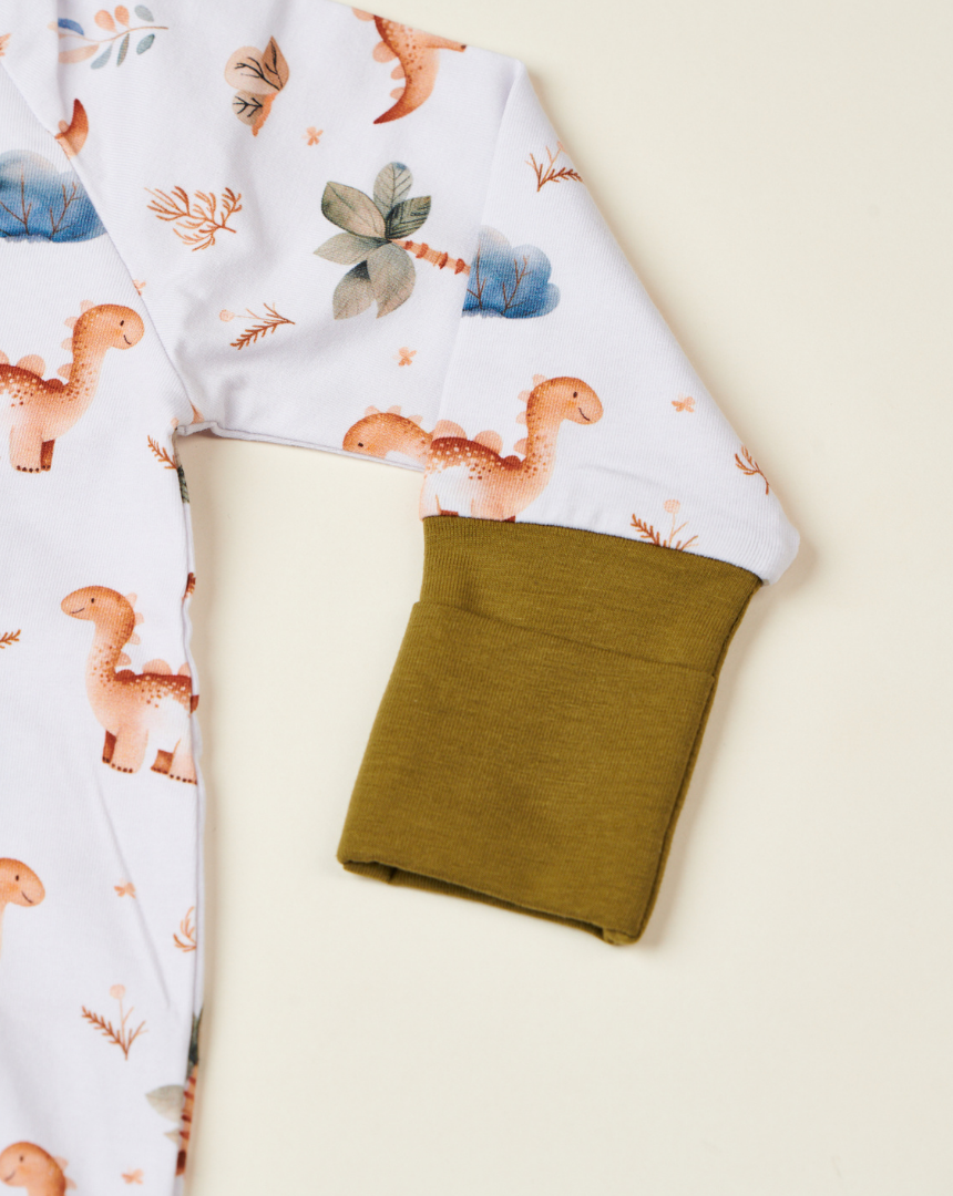 Little Dino Zipped Sleepsuit (0-18M)