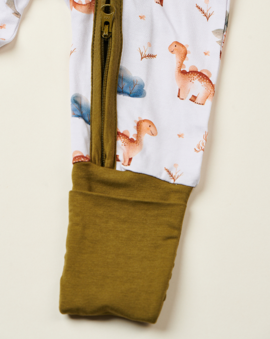 Little Dino Zipped Sleepsuit (0-18M)